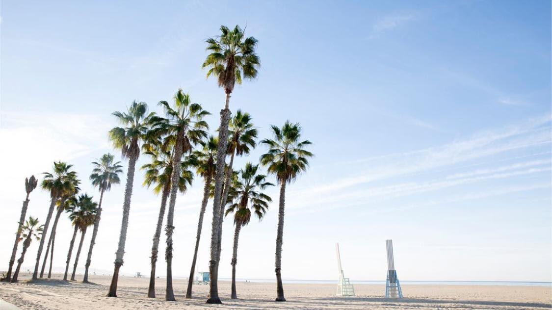 Good Citizen's Headquarters Are In Santa Monica, CA!